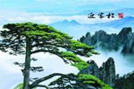 黄山、牌坊群、西递自驾车三日游